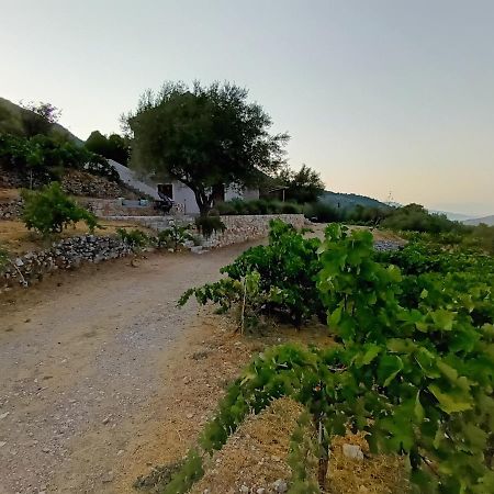 Villa Οίνου Γη Ιθάκη - Winelandithaca Perachori Exterior foto